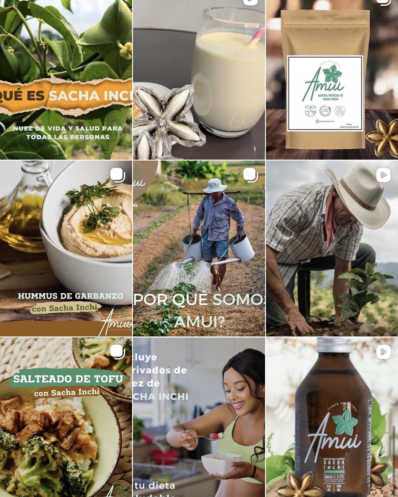 Amuí Sacha Inchi product and farm content